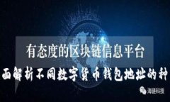 2025必看：全面解析不同数字货币钱包地址的种类