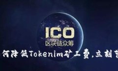 2025必看：如何降低Tokenim矿工费，立刻节省你的资