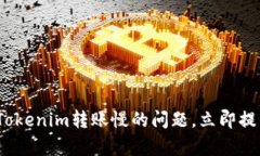 2025必看：解决Tokenim转账慢的问题，立即提高您的