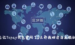 忘记Topay钱包密码了？立即找回方法大揭秘！