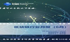    2025必看！ICE冰币加速器：如何快速提升你的数