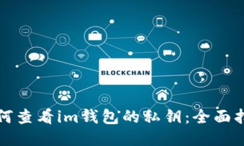 如何查看im钱包的私钥：全面指南