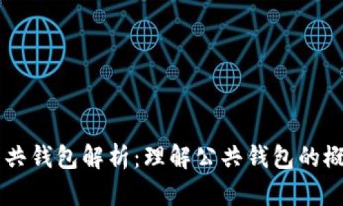 区块链公共钱包解析：理解公共钱包的概念与应用