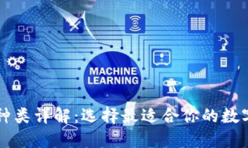 区块链钱包的种类详解：选择最适合你的数字资产管理方式