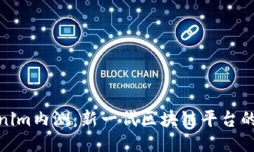 Tokenim内测：新一代区块链平台的出现