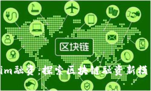 : Tokenim融资：探索区块链融资新模式与前景