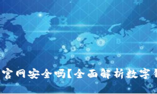 数字钱包app下载官网安全吗？全面解析数字钱包安全性与风险