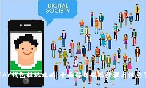 KDPAY钱包提现攻略：全面解析提现步骤与注意事项