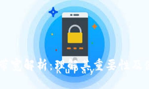 IM钱包带宽解析：理解其重要性及使用方法