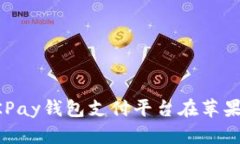 如何下载和使用OKPay钱包支付平台在苹果设备上的