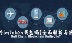 RVN支持imToken钱包吗？全面解析与使用指南