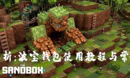 全面解析：波宝钱包使用教程与常见问题