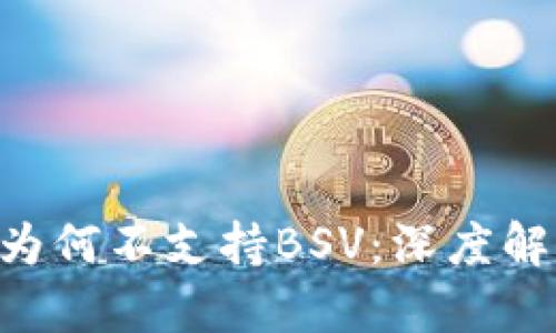 Tokenim平台为何不支持BSV：深度解析及潜在影响