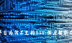 Tokenim平台为何不支持BSV：深度解析及潜在影响