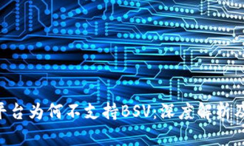 Tokenim平台为何不支持BSV：深度解析及潜在影响