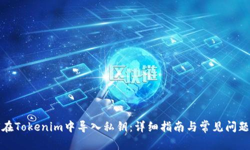 如何在Tokenim中导入私钥：详细指南与常见问题解答