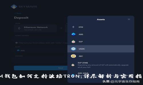 IM钱包如何支持波场TRON：详尽解析与实用指南