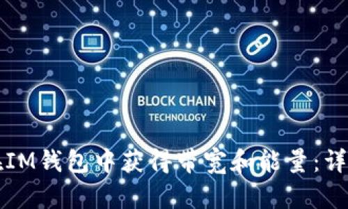 如何在IM钱包中获得带宽和能量：详尽指南