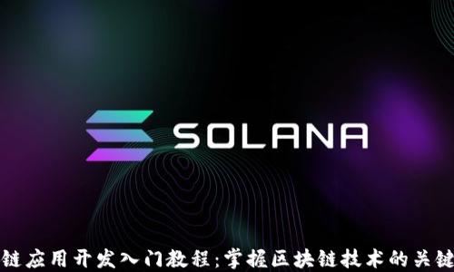 
区块链应用开发入门教程：掌握区块链技术的关键步骤
