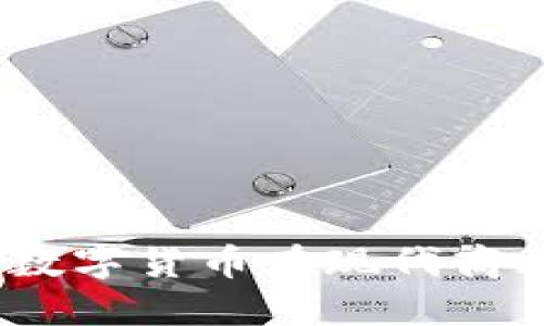 派币支付的未来：数字货币在现代商业中的应用与挑战