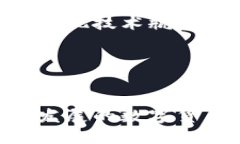 数字货币钱包里的钱从哪里来？数字货币, 钱包