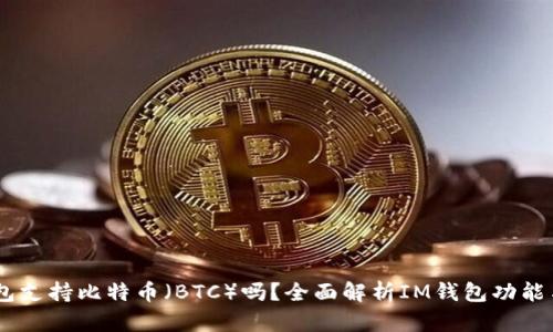 IM钱包支持比特币（BTC）吗？全面解析IM钱包功能与使用
