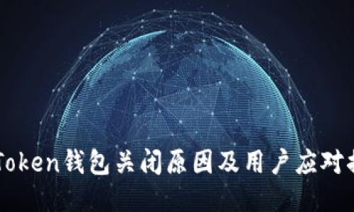 ImToken钱包关闭原因及用户应对措施