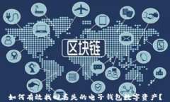 如何有效找回丢失的电子钱包数字资产？