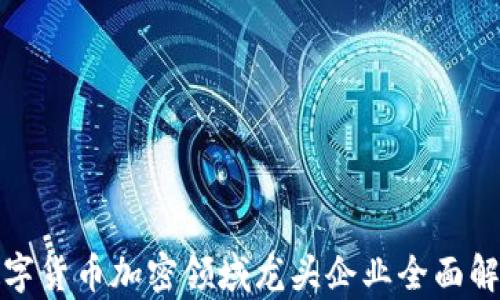 
数字货币加密领域龙头企业全面解析