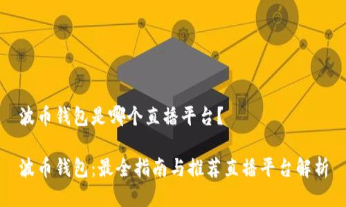 波币钱包是哪个直播平台？

波币钱包：最全指南与推荐直播平台解析