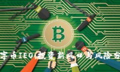 数字币IEO：投资新风口与风险分析