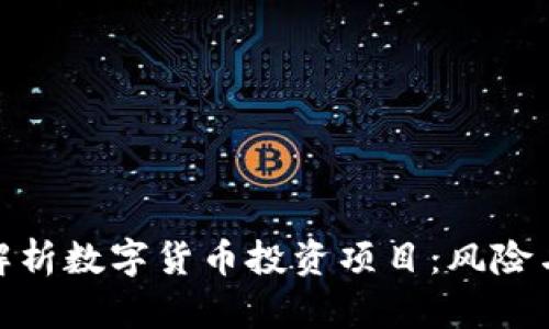 全面解析数字货币投资项目：风险与机遇