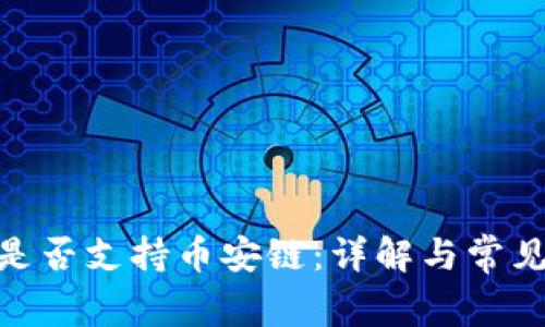 TokenIM是否支持币安链：详解与常见问题解答