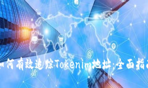 如何有效追踪Tokenim地址：全面指南