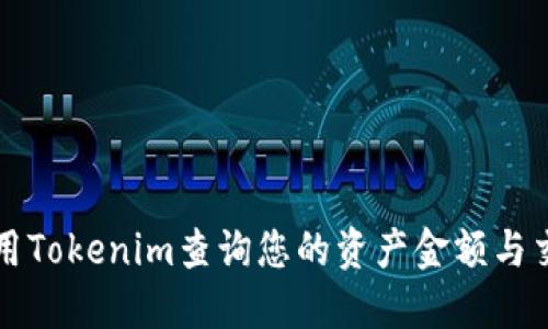如何使用Tokenim查询您的资产金额与交易记录