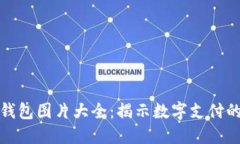 数字钱包图片大全：揭示数字支付的未来