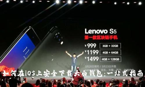 如何在iOS上安全下载大白钱包：一站式指南
