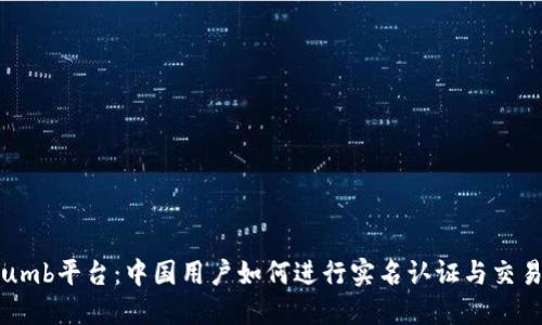 Bithumb平台：中国用户如何进行实名认证与交易指南