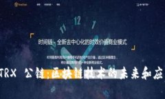 波场 TRX 公链：区块链技术的未来和应用前景