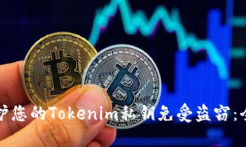 如何保护您的Tokenim私钥免受盗窃：全面指南