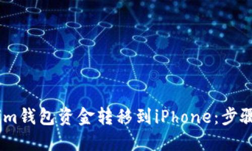 如何将im钱包资金转移到iPhone：步骤与技巧