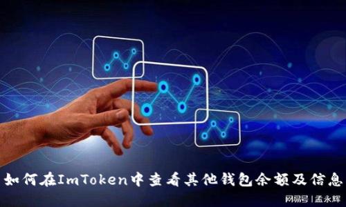 如何在ImToken中查看其他钱包余额及信息