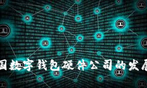 深入探讨中国数字钱包硬件公司的发展前景与挑战