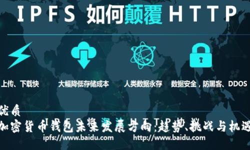 优质
加密货币钱包未来发展方向：趋势、挑战与机遇